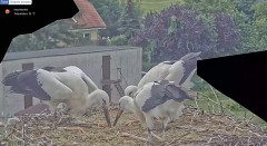 IMG_6317.jpeg