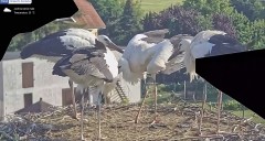 IMG_6429.jpeg