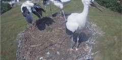 IMG_6296.jpeg