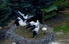 IMG_6391.jpeg