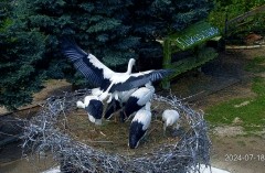 IMG_6394.jpeg