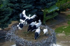 IMG_6395.jpeg