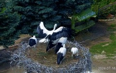 IMG_6396.jpeg