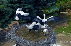 IMG_6397.jpeg
