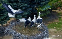 IMG_6398.jpeg