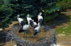 IMG_6399.jpeg