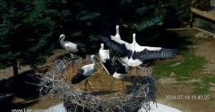 IMG_6400.jpeg