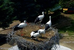 IMG_6416.jpeg