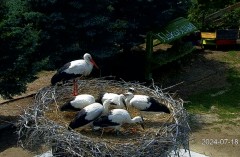 IMG_6417.jpeg