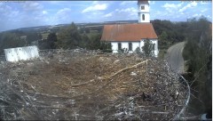 bandicam 2024-07-19 12-16-16-624.jpg