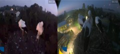 bandicam 2024-07-19 12-33-01-255.jpg