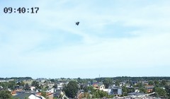 IMG_6519.jpeg