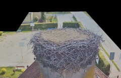 IMG_3381.jpeg