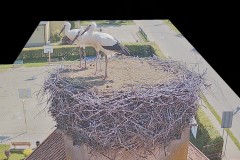 IMG_6525.jpeg