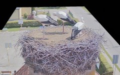 IMG_6608.jpeg