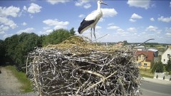 IMG_6663.jpeg