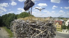 IMG_6668.jpeg