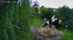 IMG_6679.jpeg