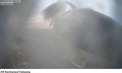 bandicam 2024-07-19 19-04-34-473.jpg