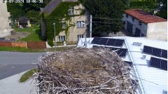 2024-07-20 10_09_35-Bociany Żywocice _ Żywocice.pl – Maxthon.jpg