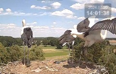 bandicam 2024-07-20 21-41-02-001.jpg