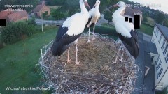 IMG_0731.jpeg