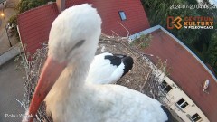IMG_6946.jpeg