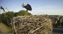 IMG_6911.jpeg