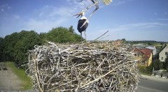 IMG_6915.jpeg