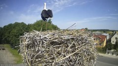 IMG_6917.jpeg