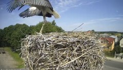 IMG_6920.jpeg