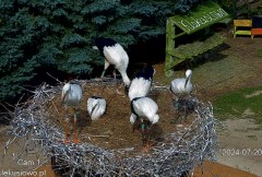 IMG_6853.jpeg