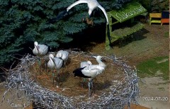 IMG_6879.jpeg