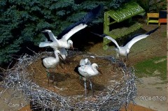 IMG_6882.jpeg