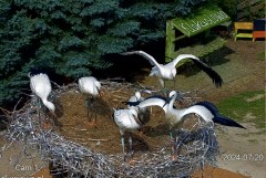 IMG_6883.jpeg