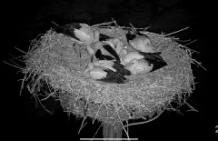 IMG_7005.jpeg