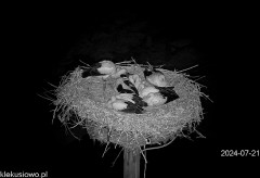 IMG_7006.jpeg