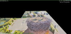MWSnap 2024-07-21, 09_23_15.jpg