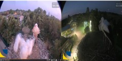 bandicam 2024-07-21 11-56-34-107.jpg