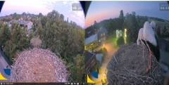 bandicam 2024-07-21 11-56-38-758.jpg