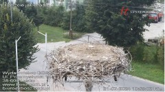 2024-07-21 10_51_51-Nasze bociany - Wydawnictwo BoSz – Maxthon.jpg
