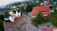 2024-07-21 16_43_56-Gniazdo bocianie _Kostek i Rika_ - Podkarpacie Kostarowce - YouTube – Maxthon.jpg