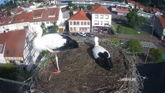 IMG_0886.jpeg