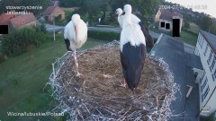 IMG_0860.jpeg