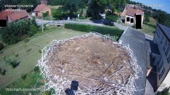 IMG_0929.jpeg
