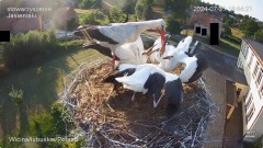 IMG_1032.jpeg