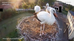IMG_1043.jpeg