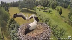 2024-07-21 22_23_59-Strzelce - bocianie gniazdo - YouTube – Maxthon.jpg