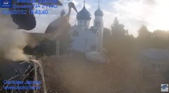 2024-07-22 19_38_21-Gniazdo Bocianie - Telewizja Sokółka [NA ŻYWO] _ IP Camera_ Stork's nest [LIVE] .jpg