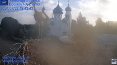2024-07-22 19_38_30-Gniazdo Bocianie - Telewizja Sokółka [NA ŻYWO] _ IP Camera_ Stork's nest [LIVE] .jpg
